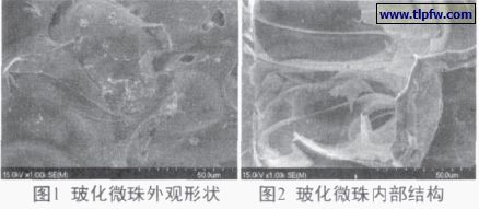 ?；⒅橥庥^形狀及內(nèi)部結(jié)構(gòu)